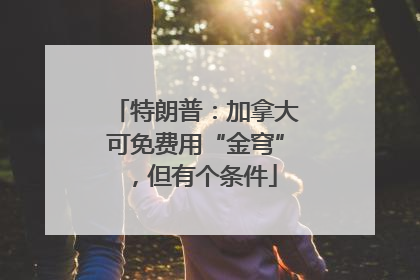 特朗普：加拿大可免费用“金穹”，但有个条件