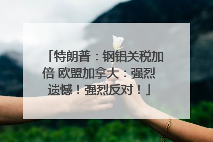 特朗普：钢铝关税加倍 欧盟加拿大：强烈遗憾！强烈反对！