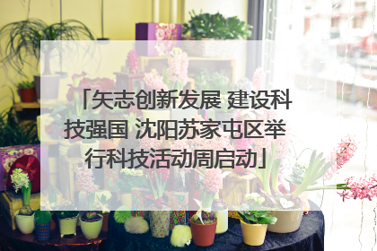 矢志创新发展 建设科技强国 沈阳苏家屯区举行科技活动周启动