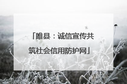 睢县：诚信宣传共筑社会信用防护网