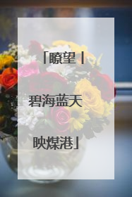 瞭望丨碧海蓝天映煤港