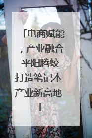 电商赋能，产业融合 平阳腾蛟打造笔记本产业新高地