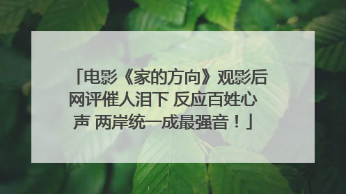 电影《家的方向》观影后网评催人泪下 反应百姓心声 两岸统一成最强音！