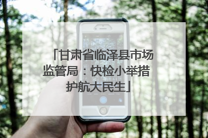甘肃省临泽县市场监管局：快检小举措 护航大民生