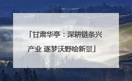 甘肃华亭：深耕链条兴产业 逐梦沃野绘新景
