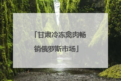 甘肃冷冻禽肉畅销俄罗斯市场