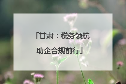 甘肃：税务领航 助企合规前行