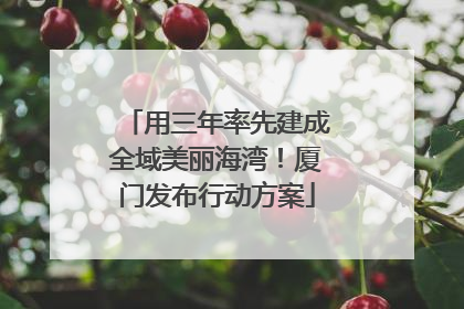 用三年率先建成全域美丽海湾！厦门发布行动方案
