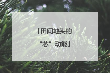 田间地头的“芯”动能