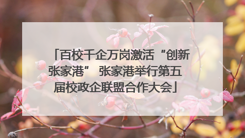 百校千企万岗激活“创新张家港” 张家港举行第五届校政企联盟合作大会