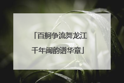 百舸争流舞龙江 千年闽韵谱华章
