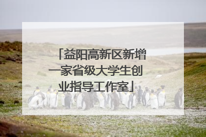 益阳高新区新增一家省级大学生创业指导工作室