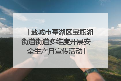 盐城市亭湖区宝瓶湖街道街道多维度开展安全生产月宣传活动