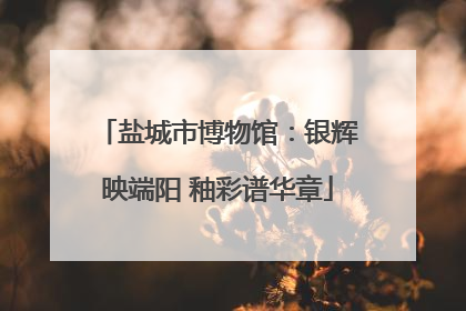 盐城市博物馆：银辉映端阳 釉彩谱华章