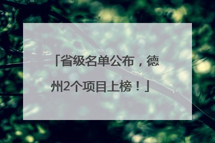 省级名单公布，德州2个项目上榜！