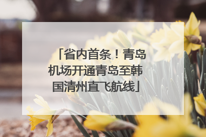 省内首条！青岛机场开通青岛至韩国清州直飞航线