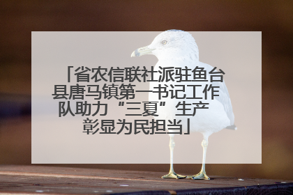 省农信联社派驻鱼台县唐马镇第一书记工作队助力“三夏”生产 彰显为民担当