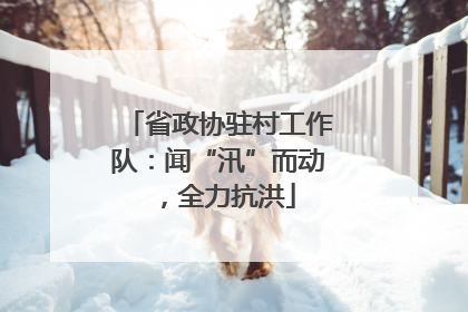 省政协驻村工作队：闻“汛”而动，全力抗洪