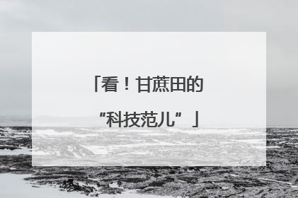看！甘蔗田的“科技范儿”