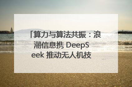 算力与算法共振：浪潮信息携 DeepSeek 推动无人机技术在舟山落地