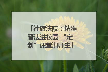 社旗法院：精准普法进校园 “定制”课堂润师生