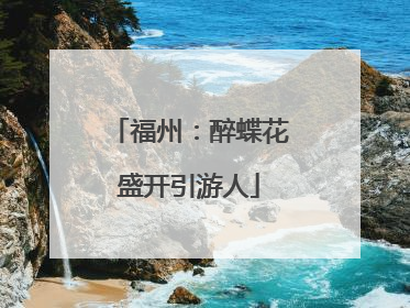 福州：醉蝶花盛开引游人