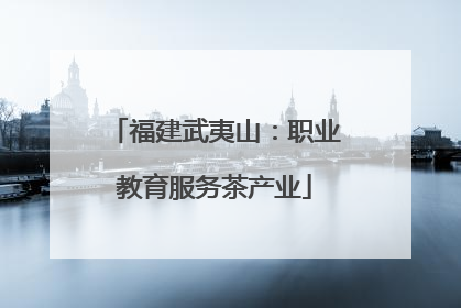 福建武夷山：职业教育服务茶产业