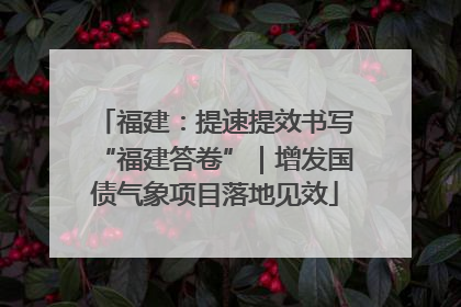 福建：提速提效书写“福建答卷”｜增发国债气象项目落地见效