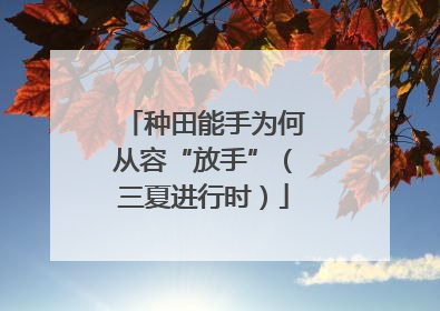 种田能手为何从容“放手”（三夏进行时）