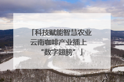 科技赋能智慧农业 云南咖啡产业插上“数字翅膀”