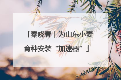 秦晓春｜为山东小麦育种安装“加速器”