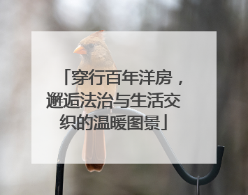 穿行百年洋房，邂逅法治与生活交织的温暖图景
