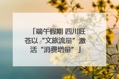 端午假期 四川旺苍以“文旅流量”激活“消费增量”
