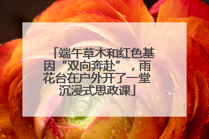 端午草木和红色基因“双向奔赴”，雨花台在户外开了一堂沉浸式思政课