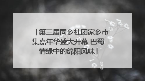第三届同乡社团家乡市集嘉年华盛大开幕 巴蜀情缘中的绵阳风味