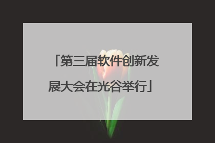 第三届软件创新发展大会在光谷举行