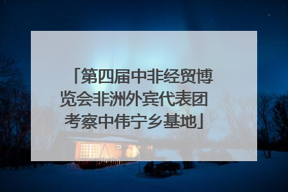 第四届中非经贸博览会非洲外宾代表团考察中伟宁乡基地