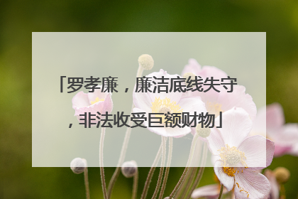 罗孝廉，廉洁底线失守，非法收受巨额财物