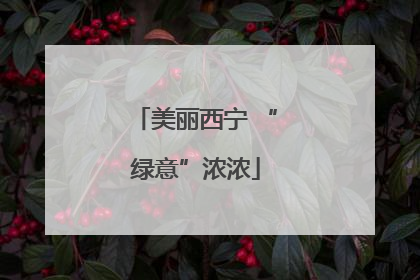 美丽西宁 “绿意”浓浓
