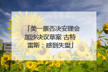 美一票否决安理会加沙决议草案 古特雷斯：感到失望