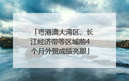 粤港澳大湾区、长江经济带等区域前4个月外贸成绩亮眼