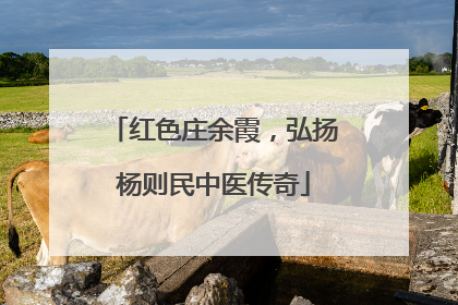 红色庄余霞，弘扬杨则民中医传奇