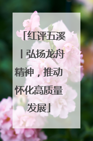 红评五溪丨弘扬龙舟精神，推动怀化高质量发展