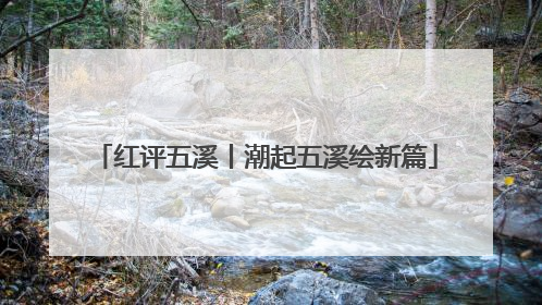 红评五溪丨潮起五溪绘新篇