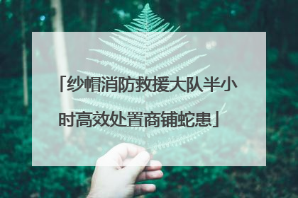 纱帽消防救援大队半小时高效处置商铺蛇患