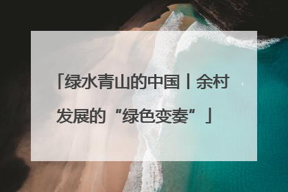 绿水青山的中国丨余村发展的“绿色变奏”