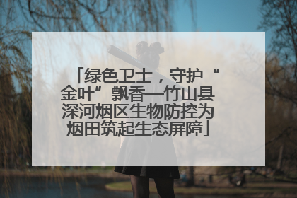 绿色卫士，守护“金叶”飘香—竹山县深河烟区生物防控为烟田筑起生态屏障