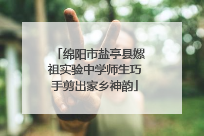 绵阳市盐亭县嫘祖实验中学师生巧手剪出家乡神韵