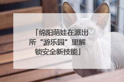 绵阳萌娃在派出所“游乐园”里解锁安全新技能