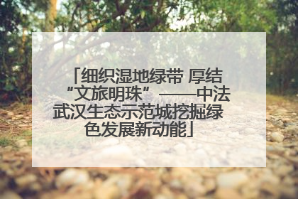 细织湿地绿带 厚结“文旅明珠”——中法武汉生态示范城挖掘绿色发展新动能